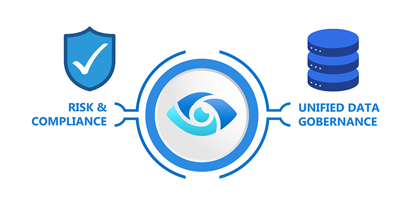Microsoft Purview infografía